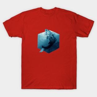 Salmon T-Shirt